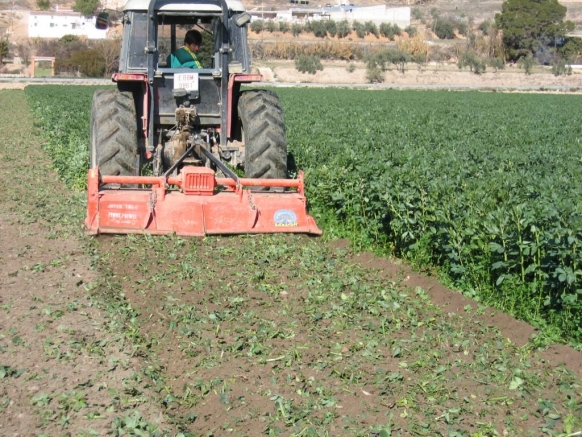 TRACTOR PICANDO LAS HABAS