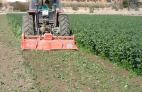 TRACTOR PICANDO LAS HABAS