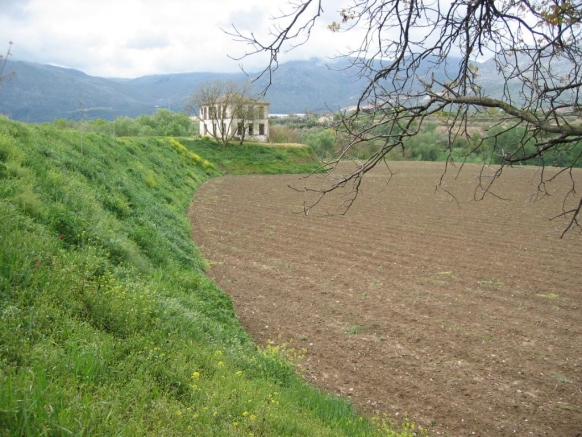 MANTENIMIENTO DEL ENTORNO NATURAL