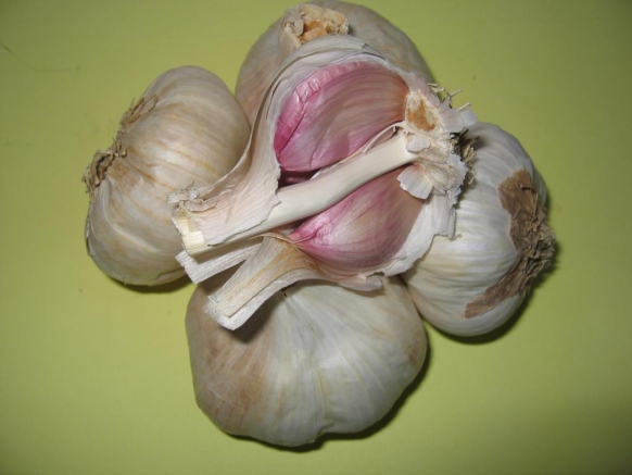 CADEZAS DE AJOS