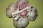 CADEZAS DE AJOS